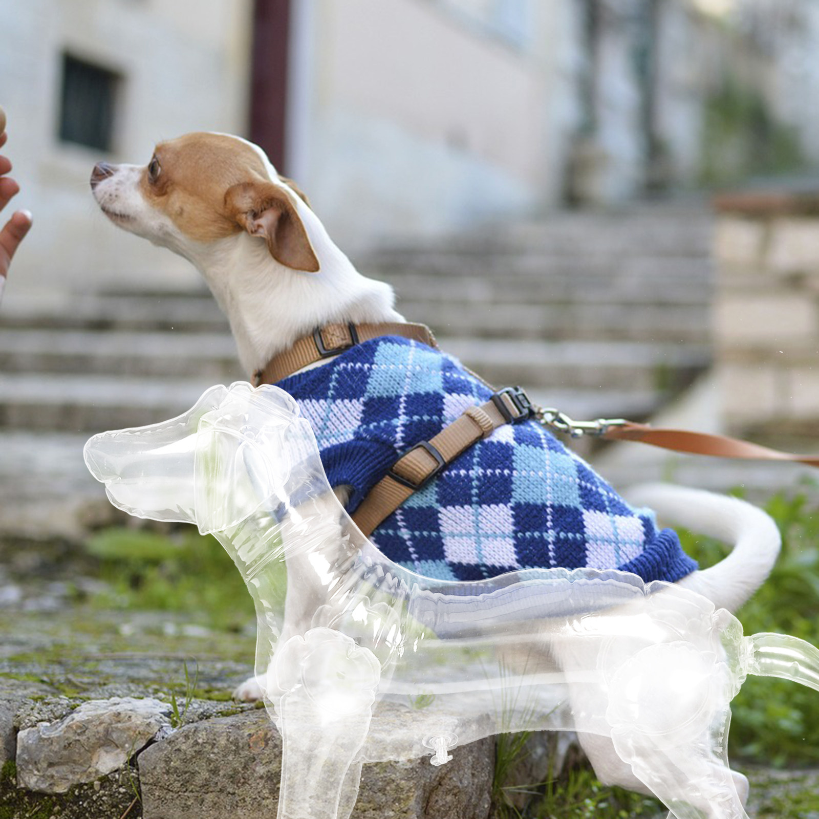 Baby Clothing Display Stand - Inflatable Dog Mannequin Display Stand for