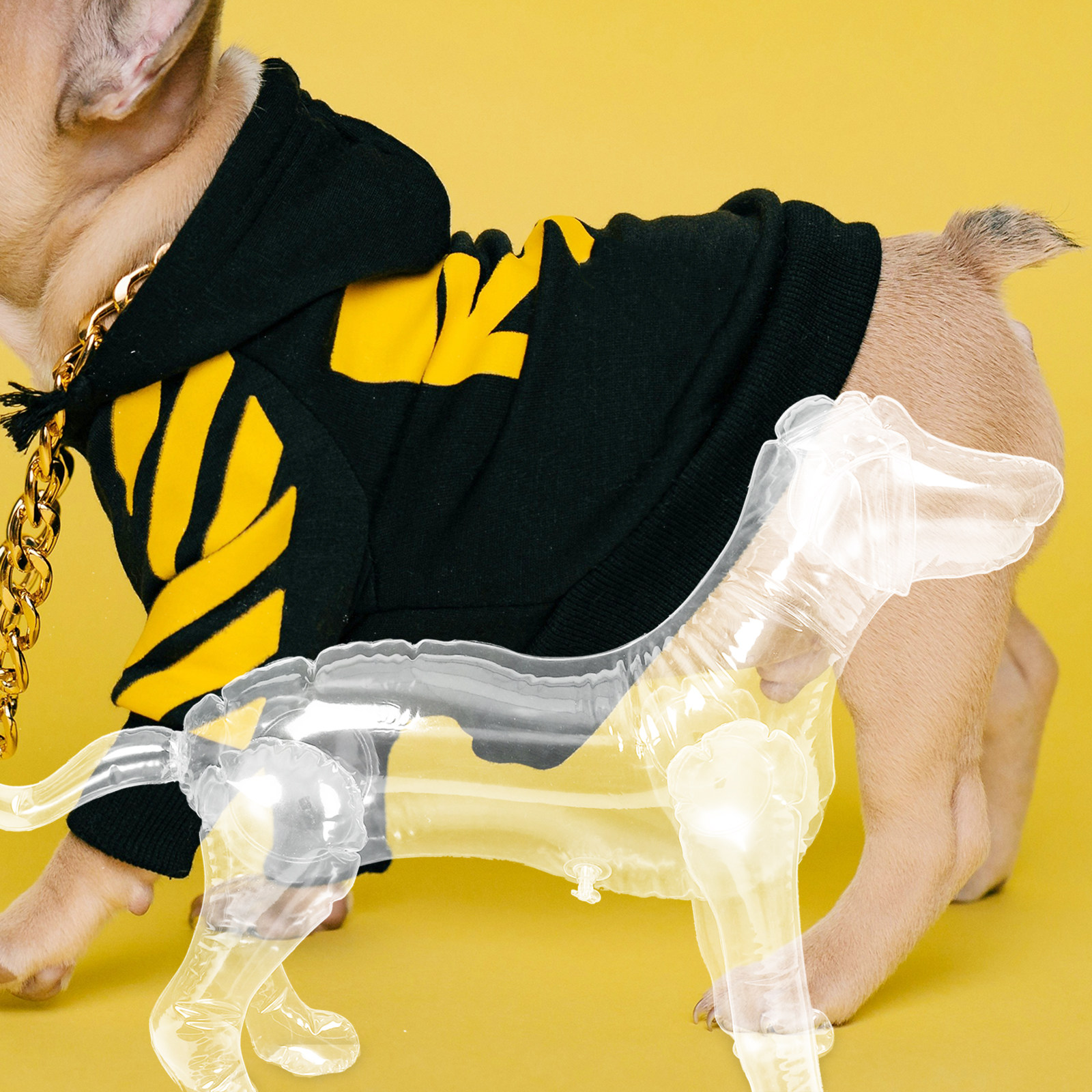 Inflatable Dog Mannequin Displ - Baby Clothing Display Stand avis et prix