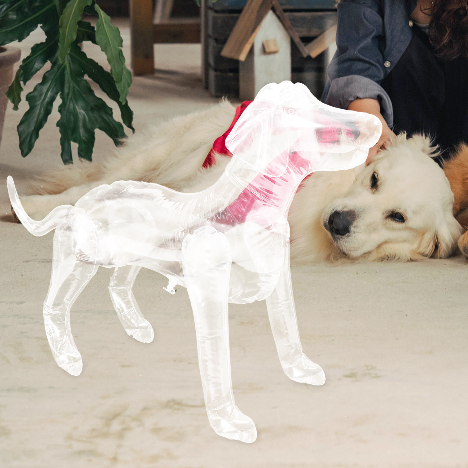 Inflatable Dog Mannequin Displ - Baby Clothing Display Stand avis et prix